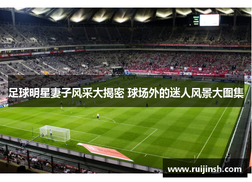 足球明星妻子风采大揭密 球场外的迷人风景大图集